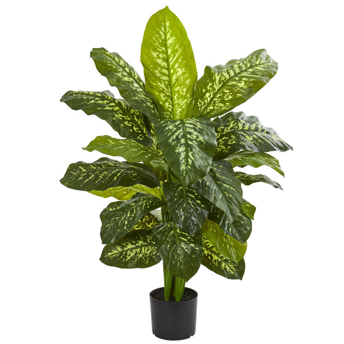 Primrue 42" Artificial Banana Leaf Plant in Pot Wayfair Canada